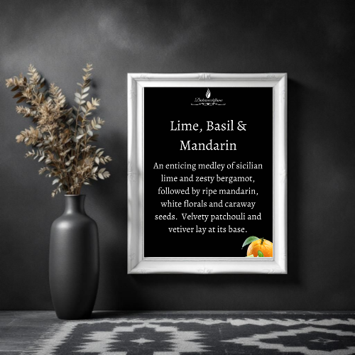 Large Candles - EcoSoya