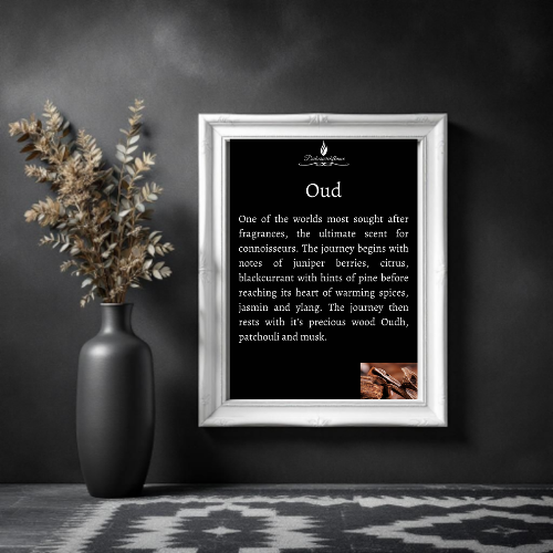 Large Candles - EcoSoya