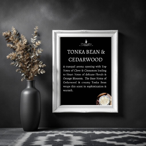 Large Candles - EcoSoya